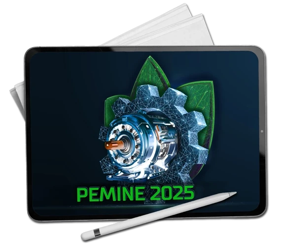 grafika ozdobnikowa, tekst: pemine,